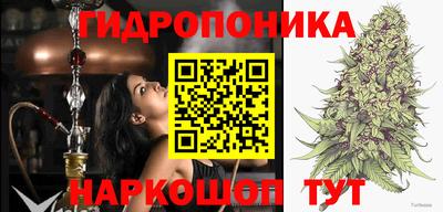 индика Волжск