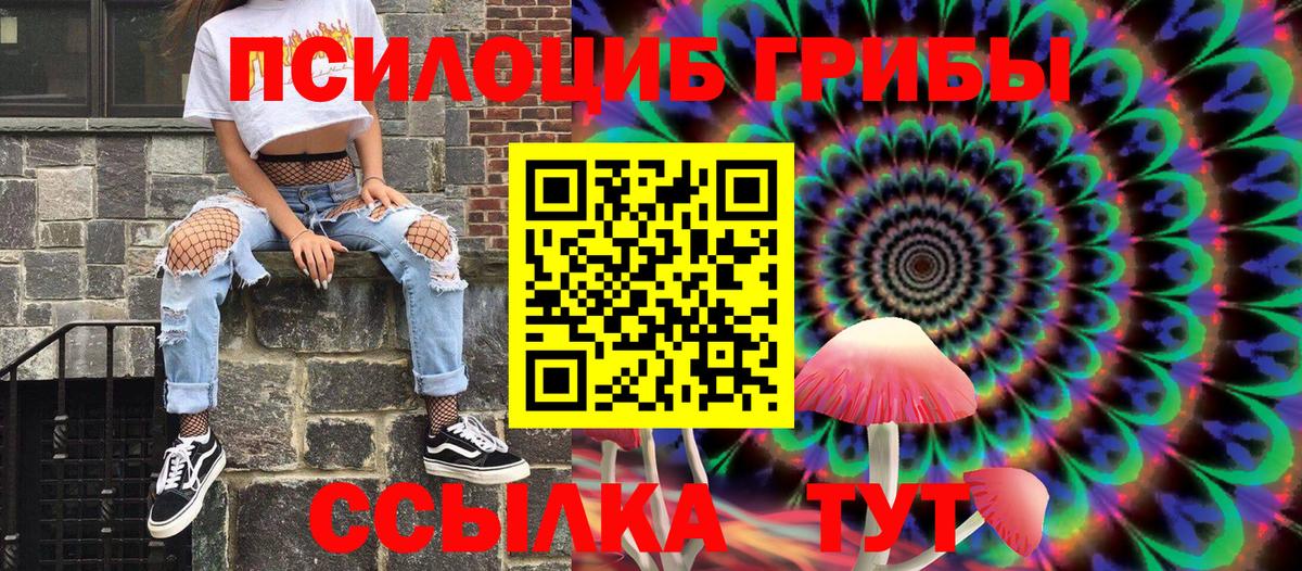 Кашира  Галлюциногенные грибы GOLDEN TEACHER  Вход с VPN 